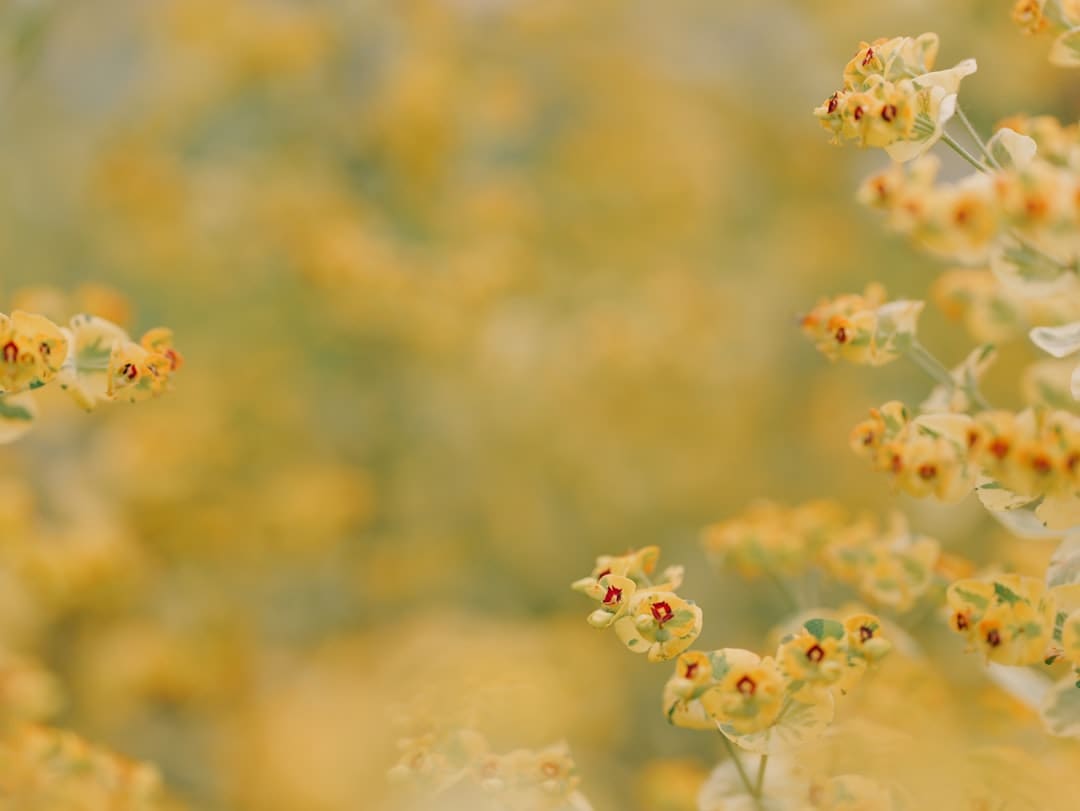爱新觉罗·媚闪烁《亚洲新声》第二期 一首《Flowers》传递女人力气